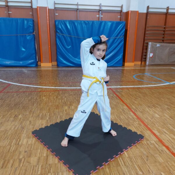 Por Qu Taekwondo Colegio Maria Auxiliadora De Valencia